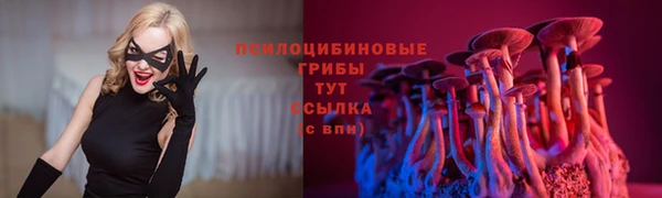 дурь Богородицк